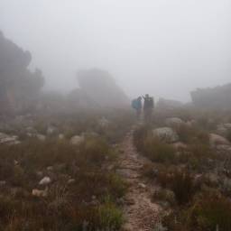 Navigating through thick fog and rain